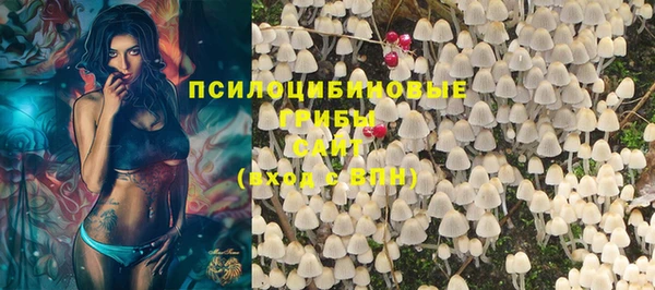 мескалин Новодвинск