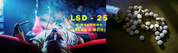 шишки Новокубанск