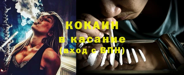 шишки Новокубанск