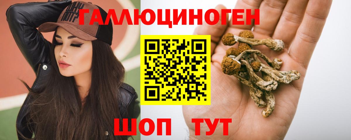 Галлюциногенные грибы Cubensis  Вход с VPN  Салават 